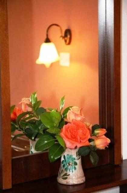Triantafyllou Maria Rooms Skópelos 部屋 写真